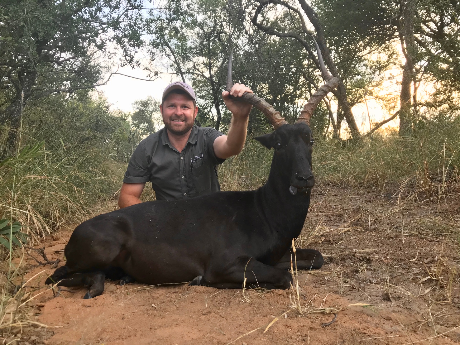 Angelo crouching behind a dark antelope among bushveld trees