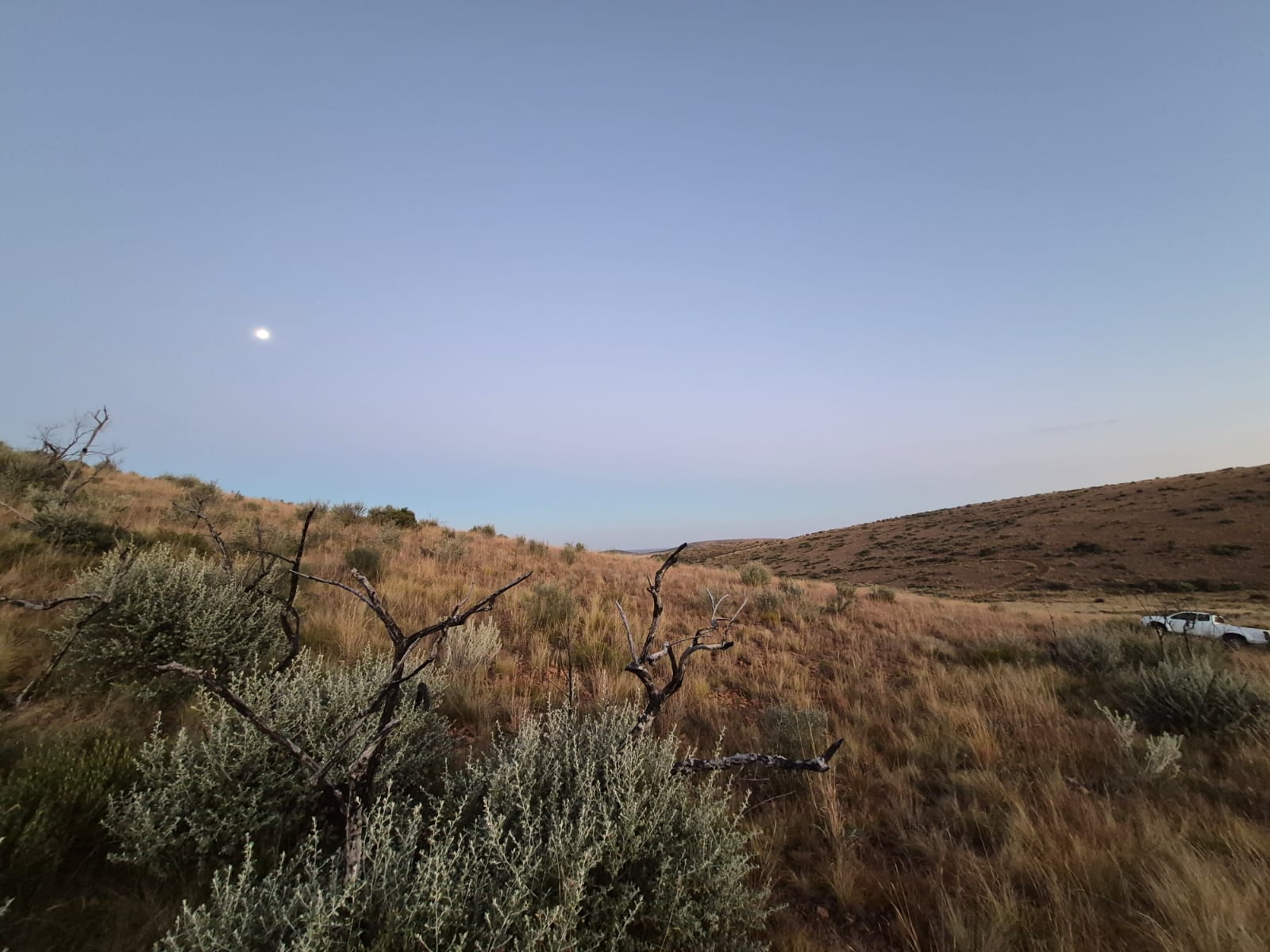 Golden grassland and low hills at dusk with the moon rising in a clear sky