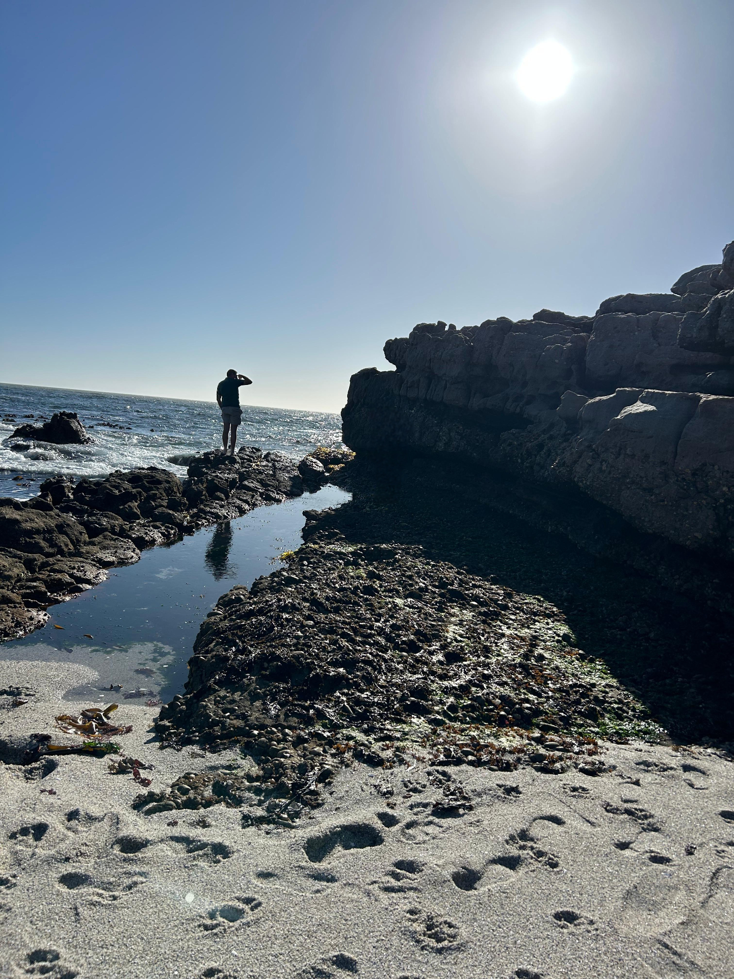 Angelo standing on seaside rocks beside a tidal pool under the bright sun