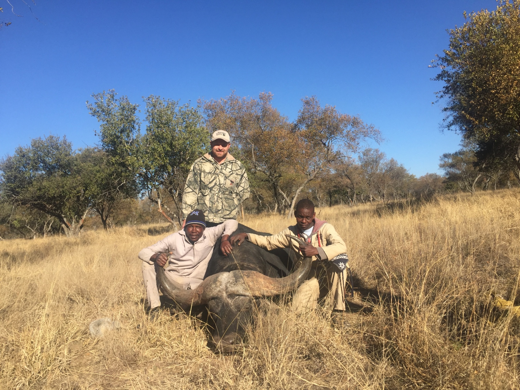 Angelo and two colleagues beside a buffalo in open grassland