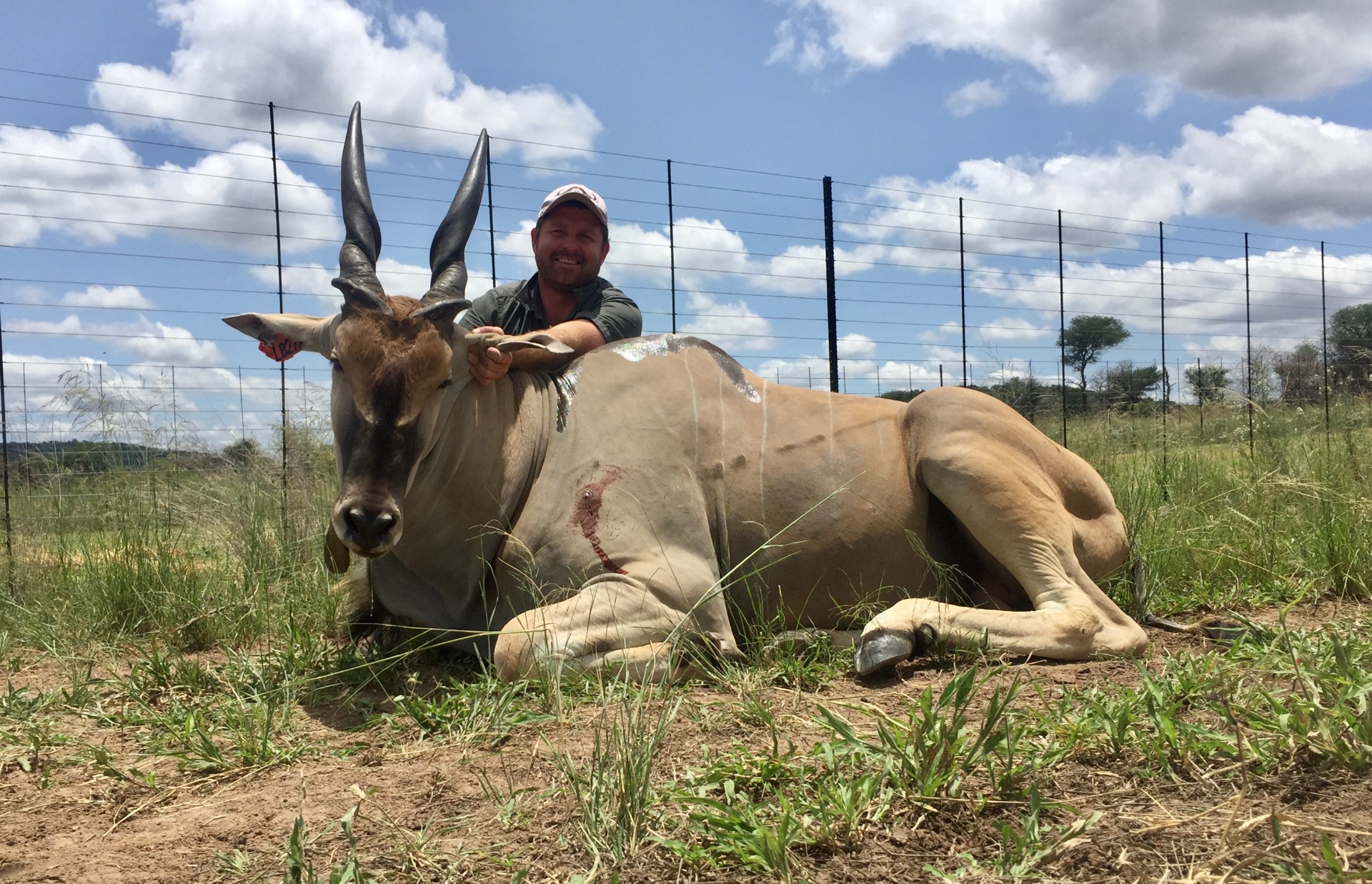 Angelo beside an antelope resting in green grass near a fence