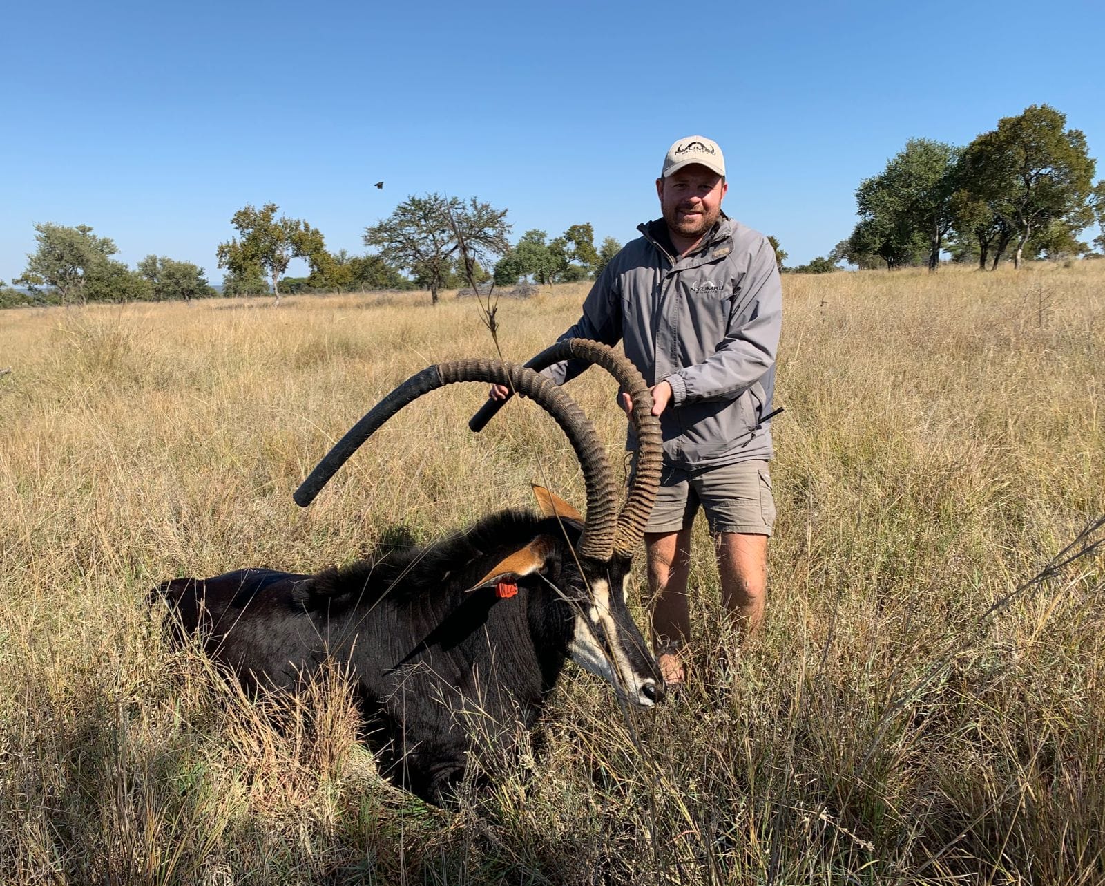 Angelo standing beside a sable bull in golden grassland under a blue sky