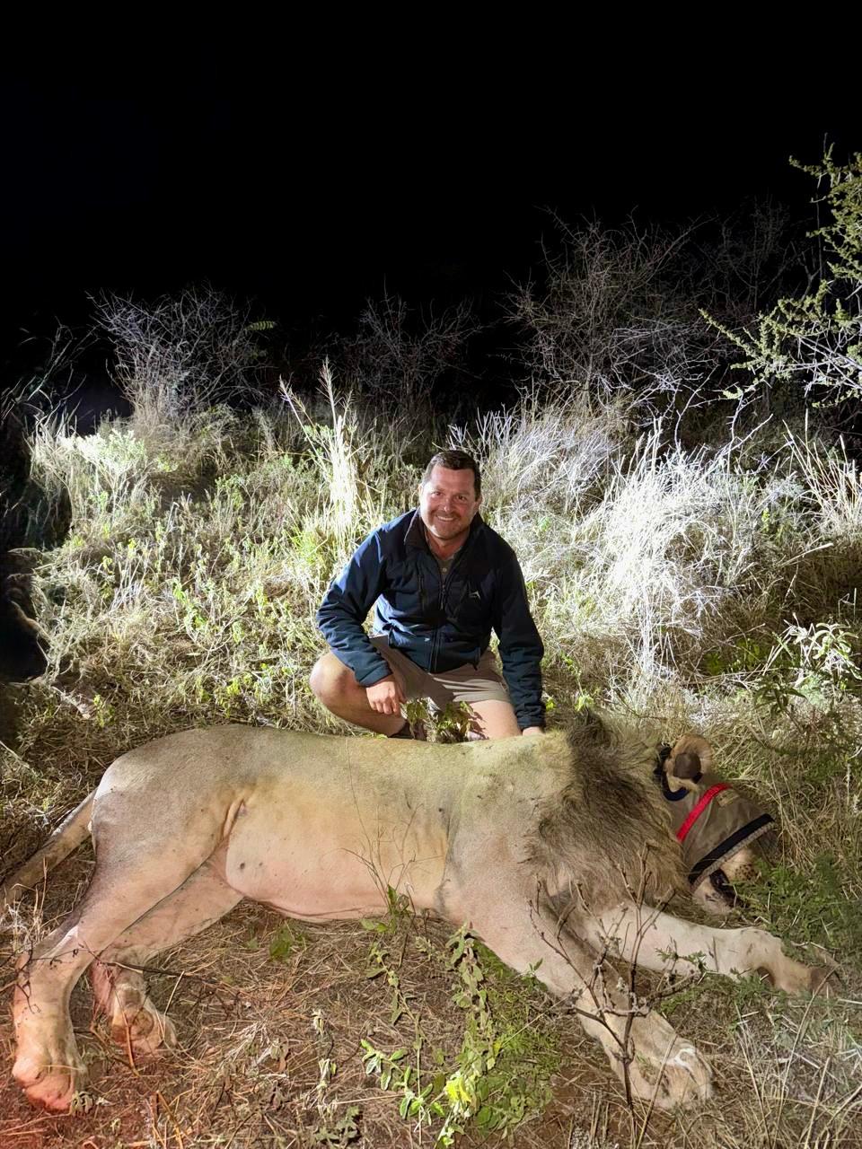 Angelo crouching in the headlights beside a blindfolded lion at night