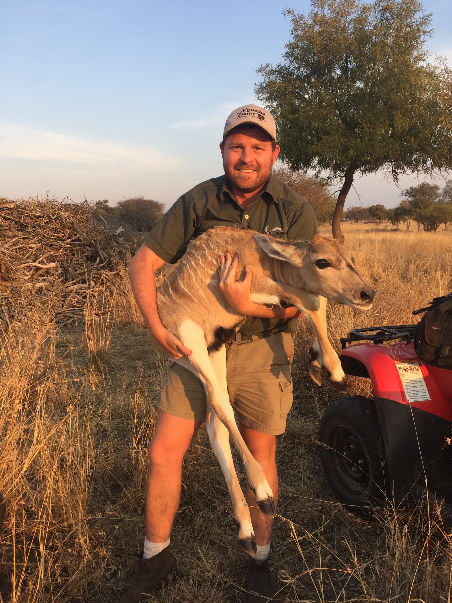 Angelo carrying a young kudu calf in his arms at golden hour