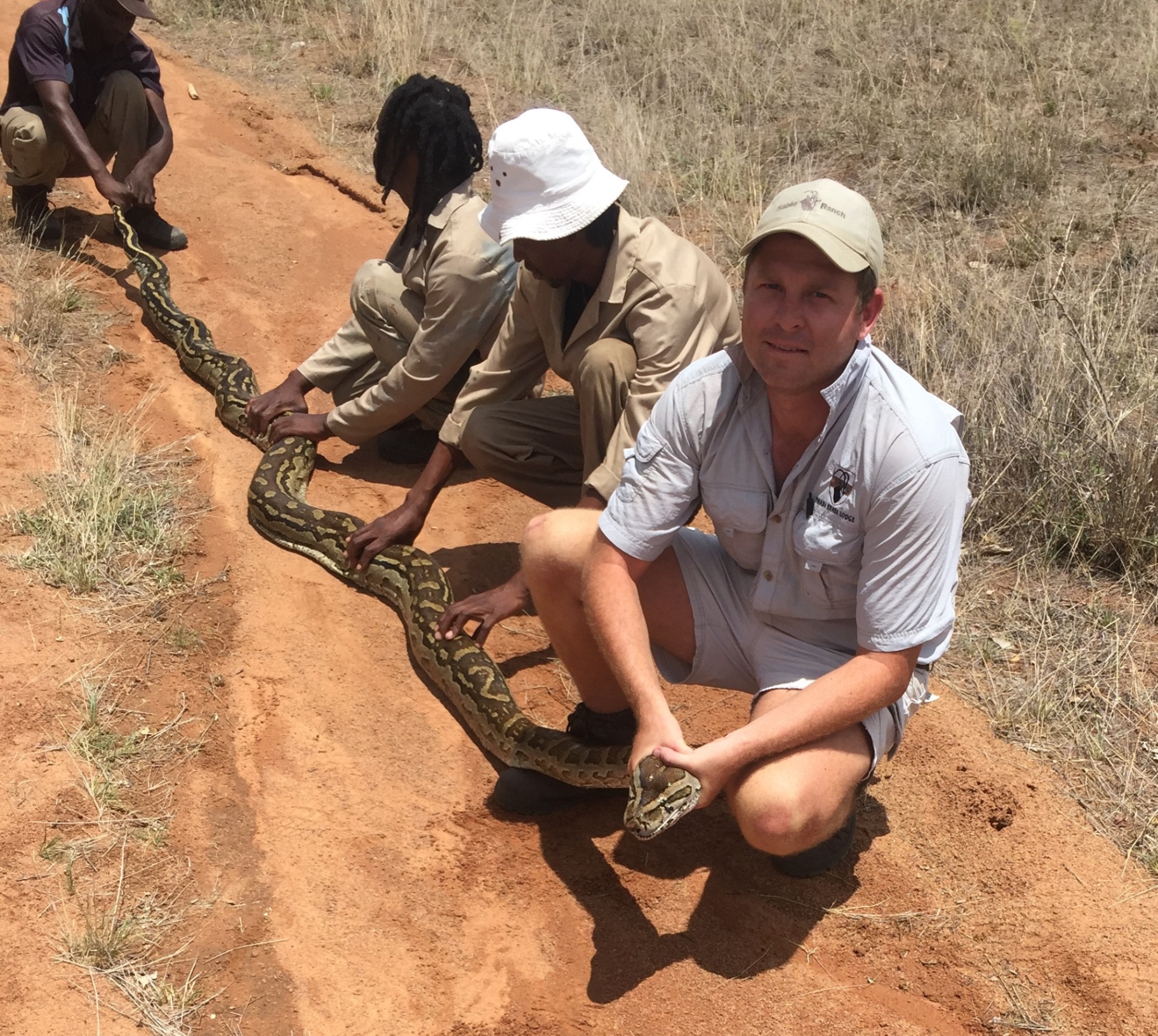 Angelo and wildlife colleagues holding a large python along a sandy track