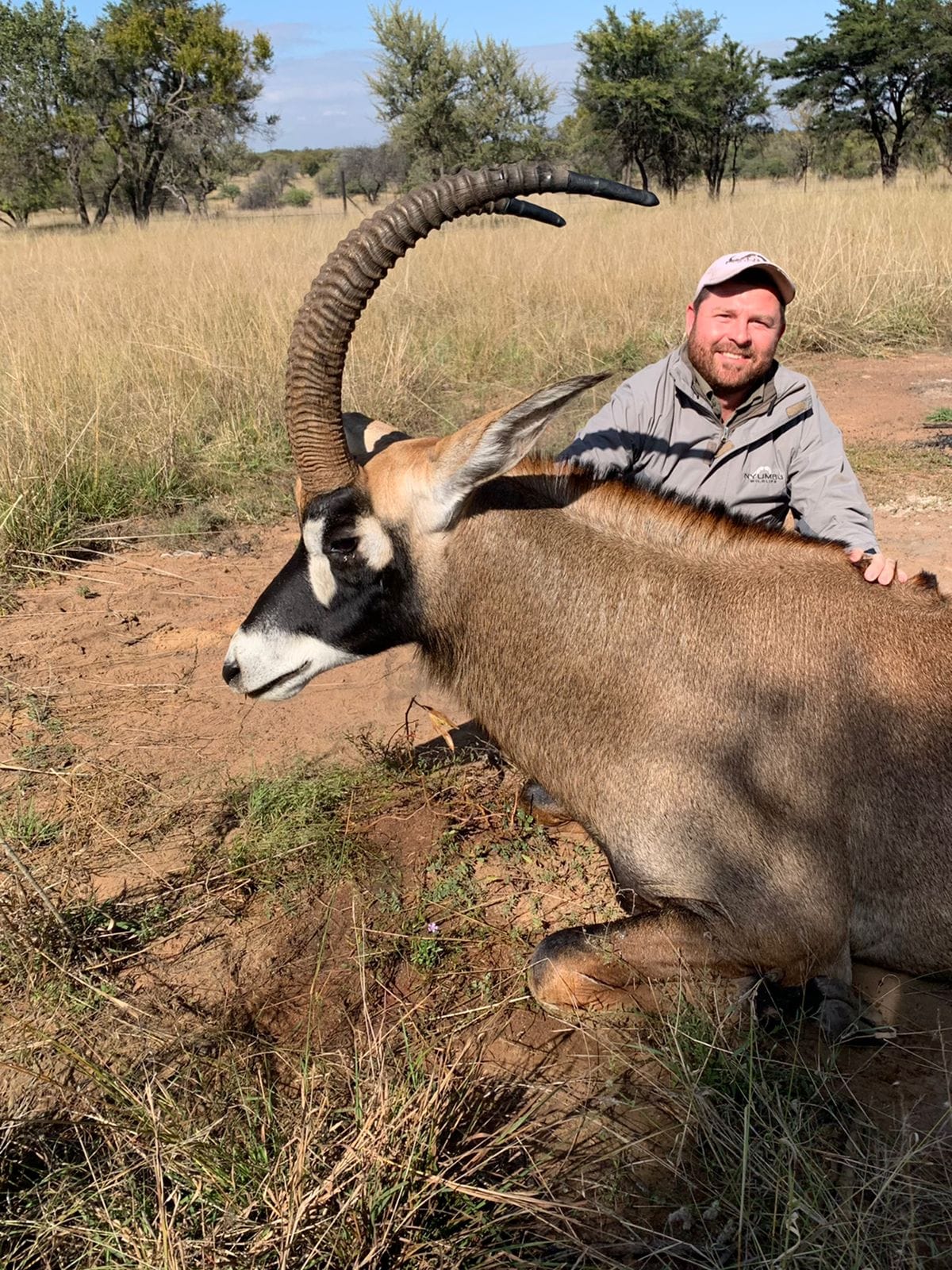 Angelo kneeling close behind a roan antelope on a sandy track