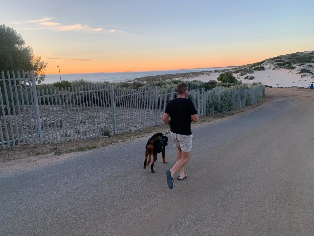 Angelo and his dog walking the coastal road under a sunset sky