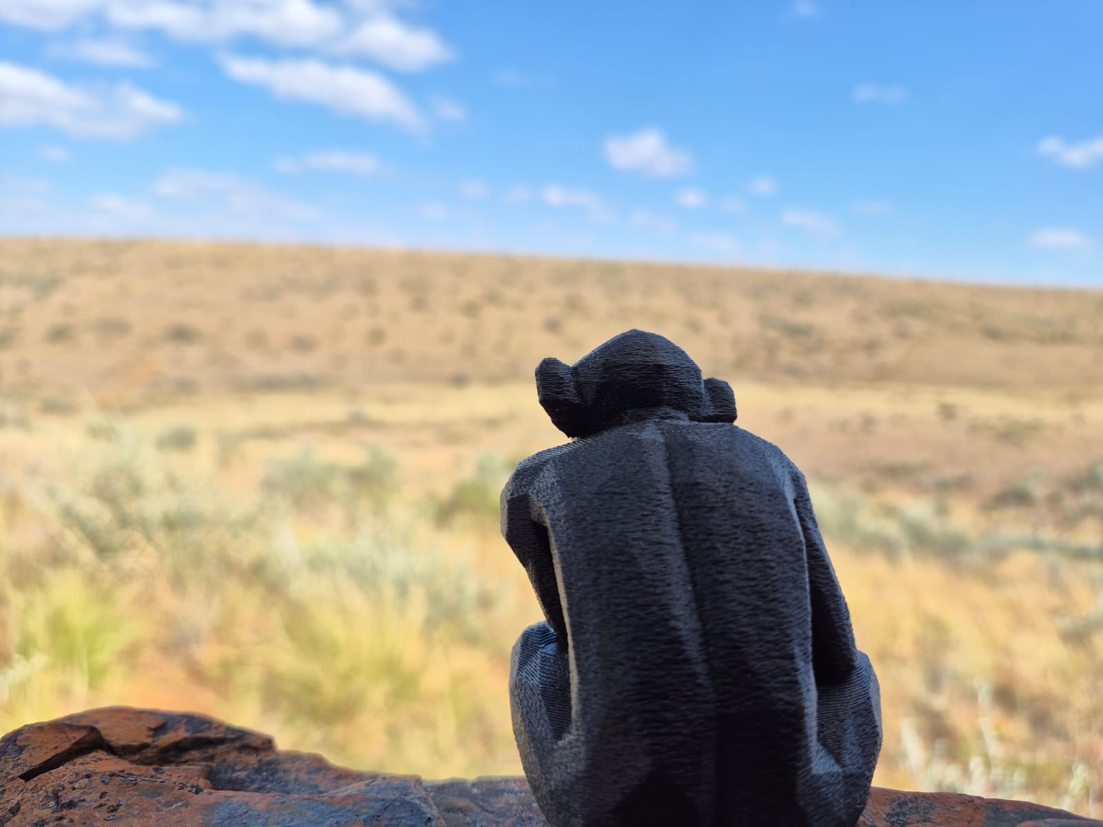 The carved monkey figure seen from behind, looking out over open grassland and hills