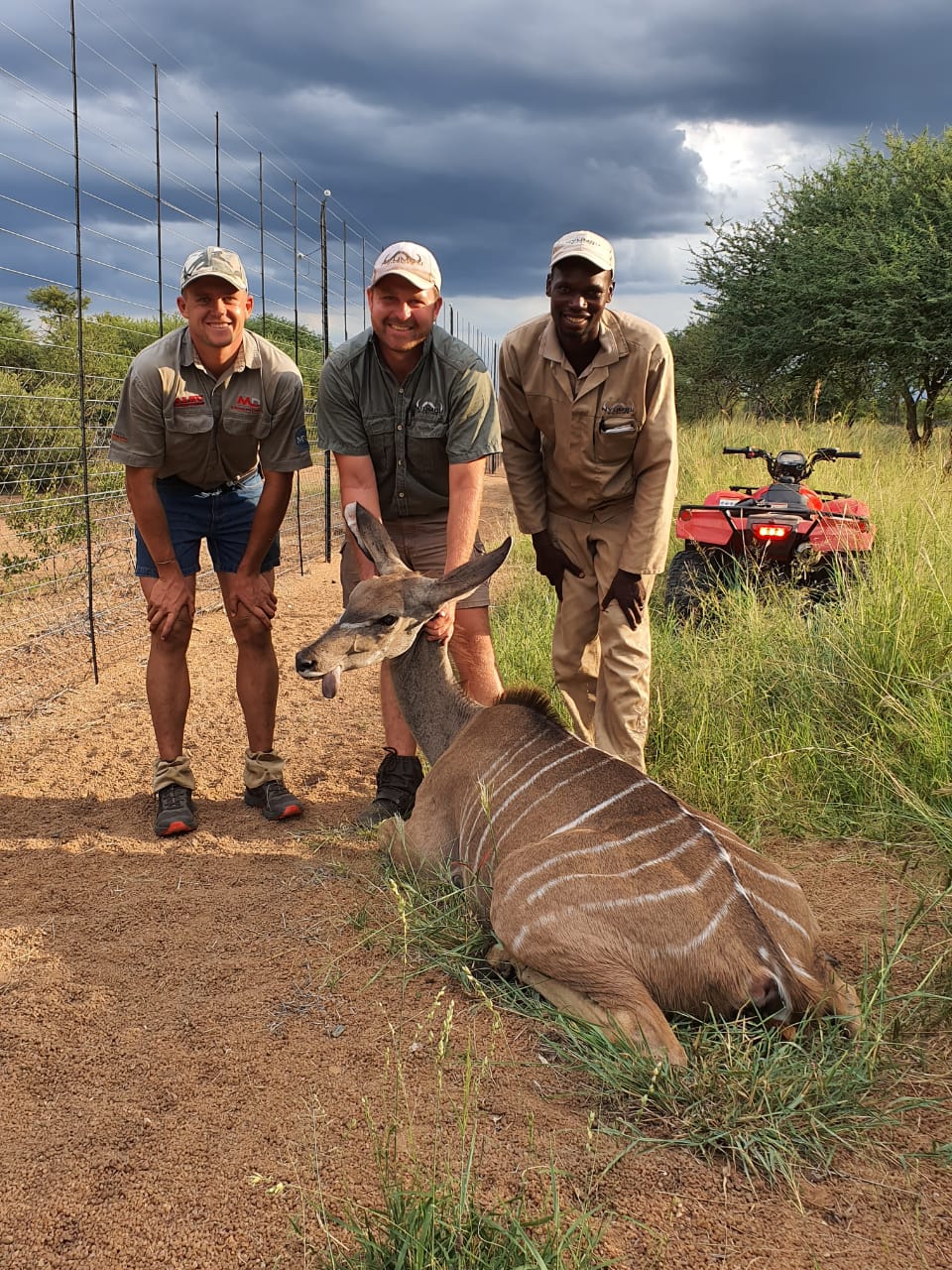Angelo and two colleagues beside a nyala resting along a reserve road before a storm