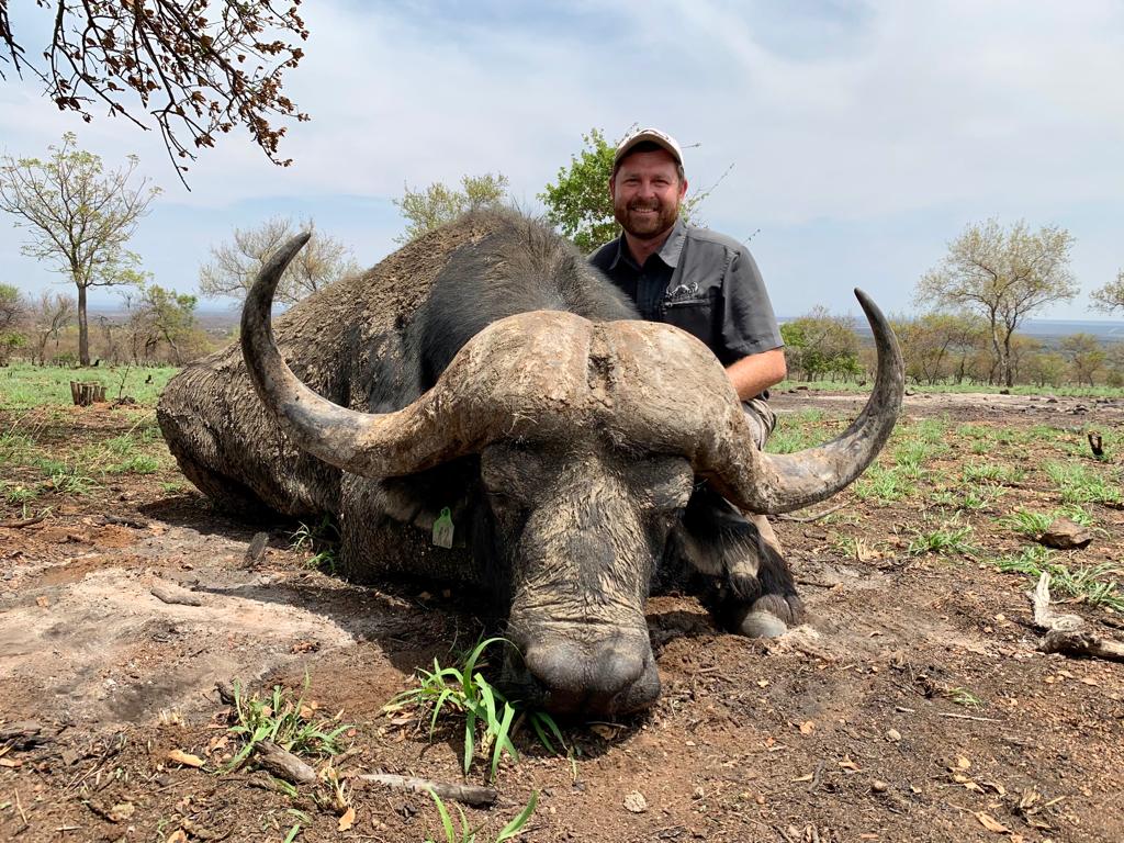 Angelo kneeling behind a large buffalo bull on a hilltop
