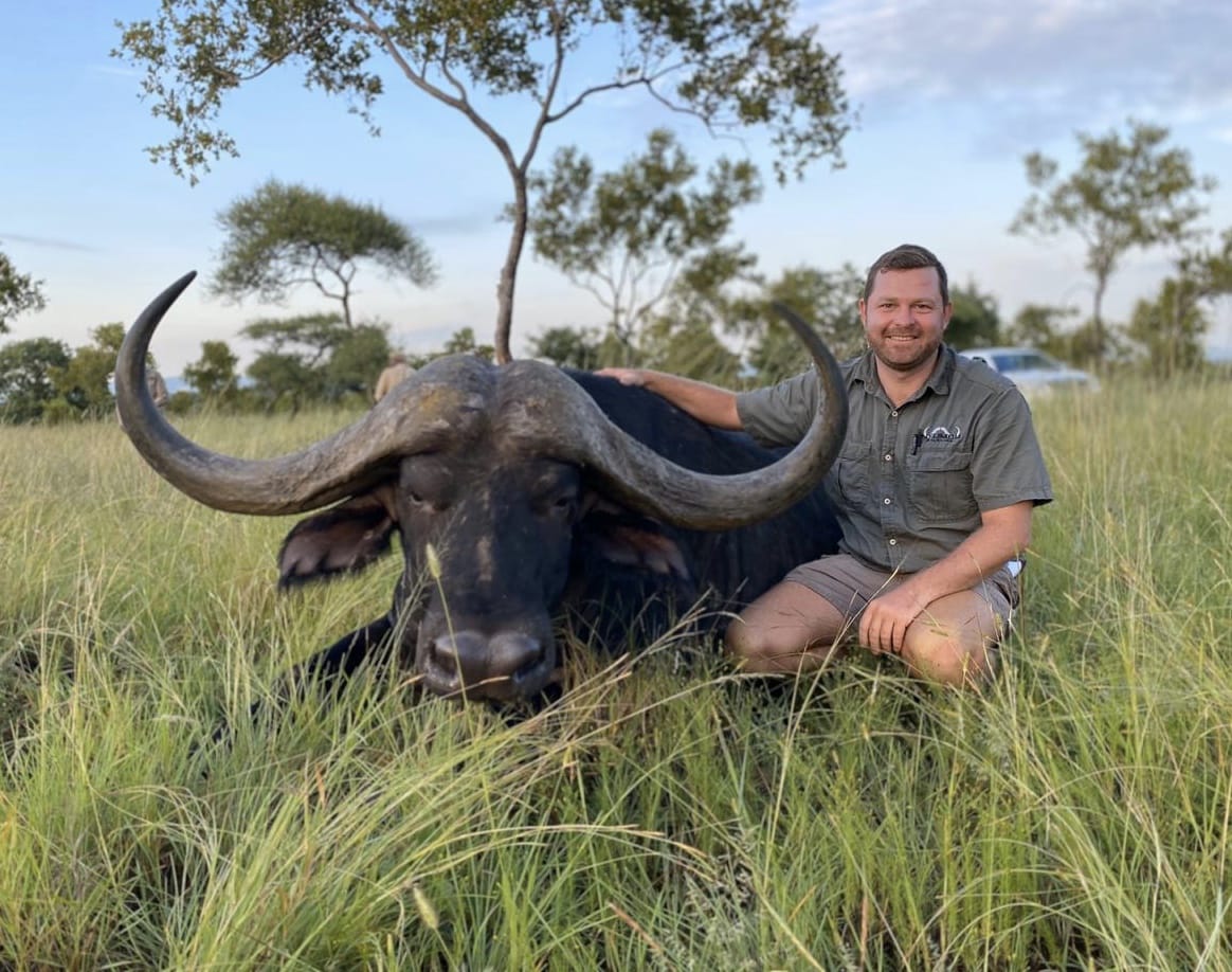 Angelo kneeling in long grass beside a sedated buffalo bull