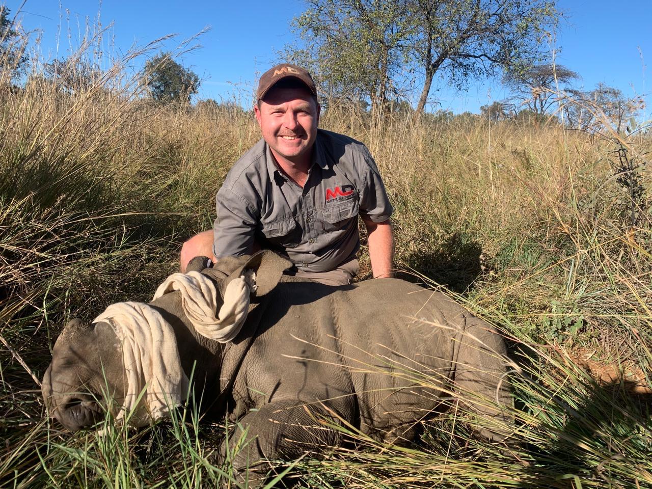 Angelo kneeling behind a blindfolded young rhino resting in dry grass