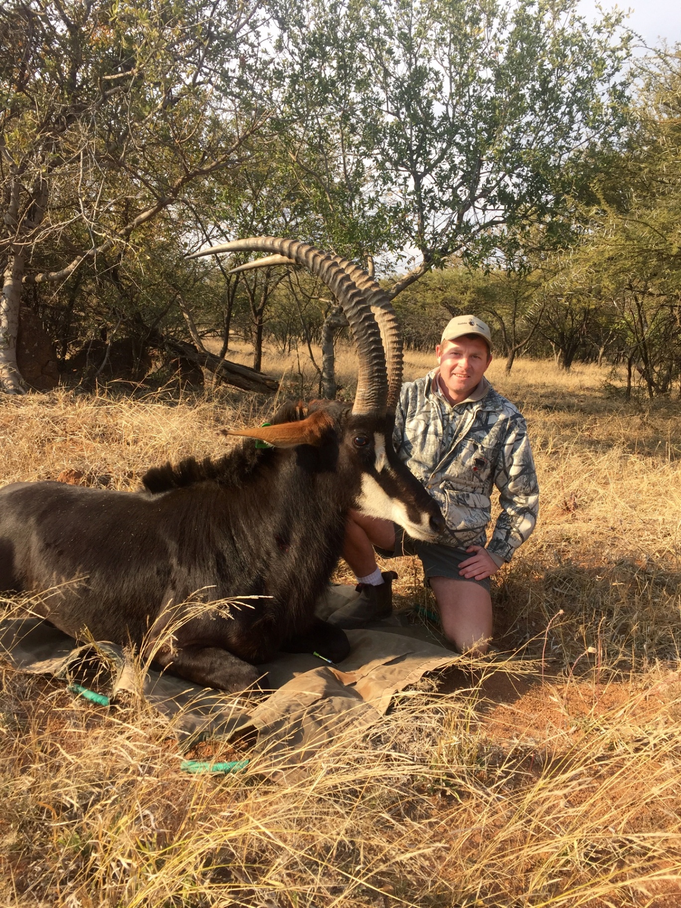 Angelo kneeling beside a dark antelope with curved horns in dry bushveld