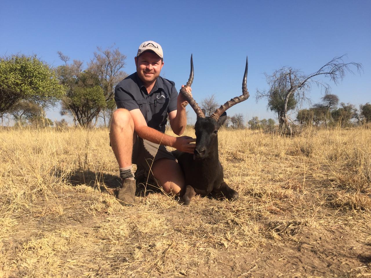 Angelo kneeling beside a dark sable bull with long curved horns