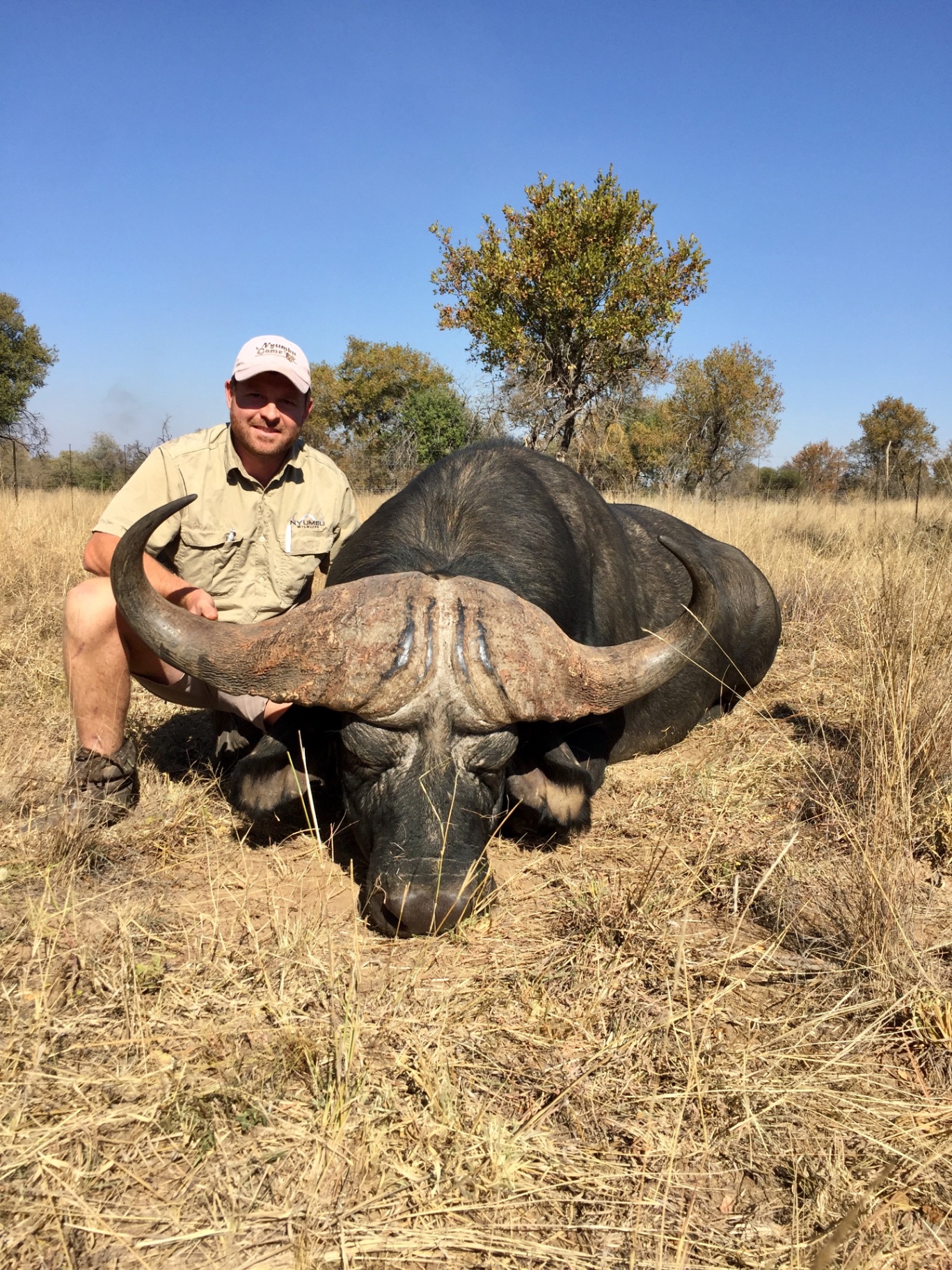 Angelo crouching beside a large buffalo in dry grass beneath a clear sky